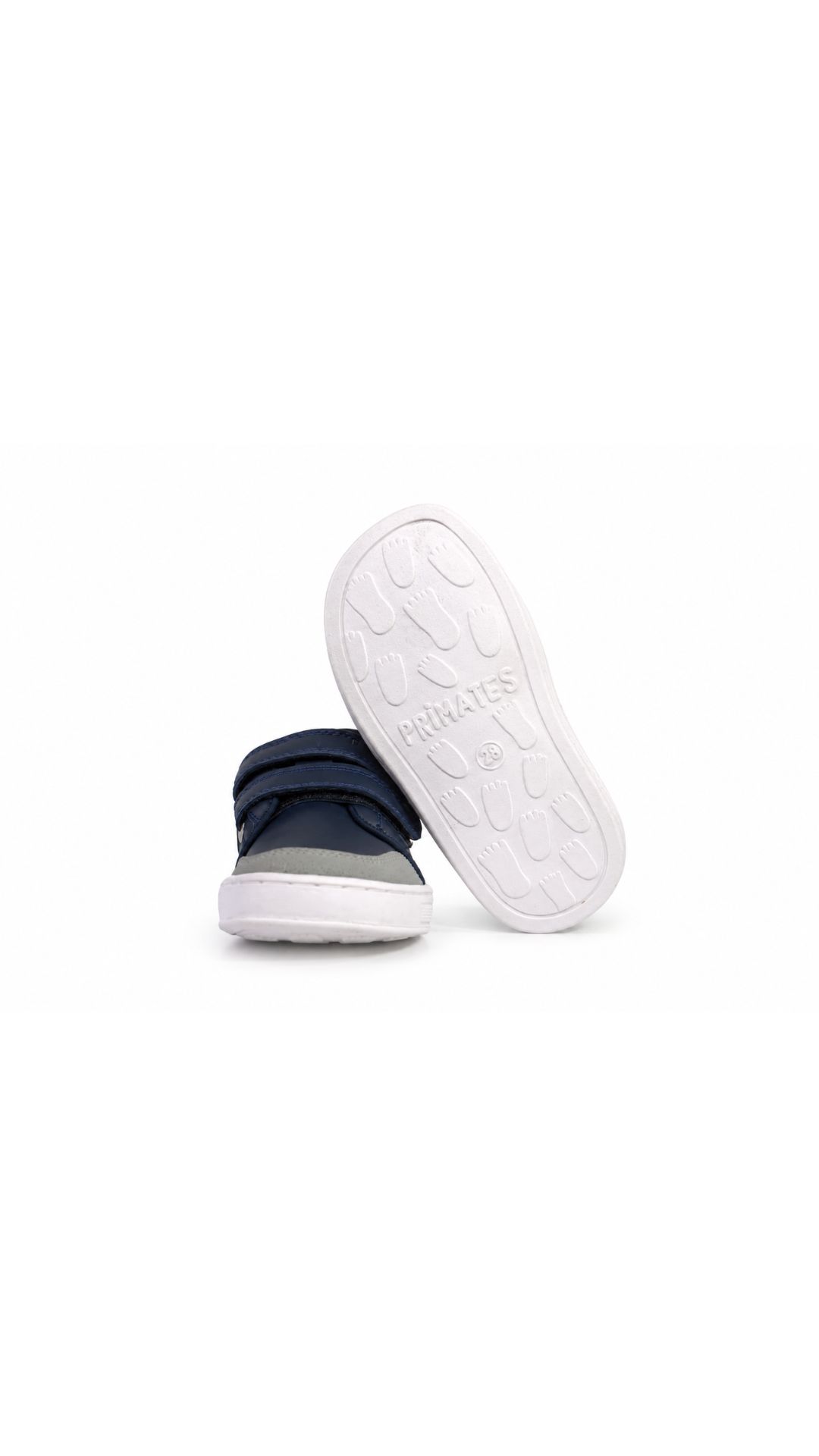 Lémur Azul Navy - Image 6
